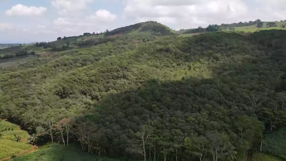 Agricultural Lot in Bukidnon for Sale — Agricultural Lot in Valencia City, Bukidnon, Philippines — Photo 6