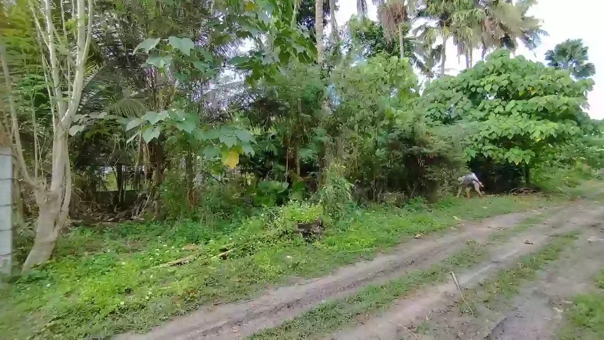Residential Lot For Sale — Residential Lot in Purok 7, General Santos City, South Cotabato — Photo 2