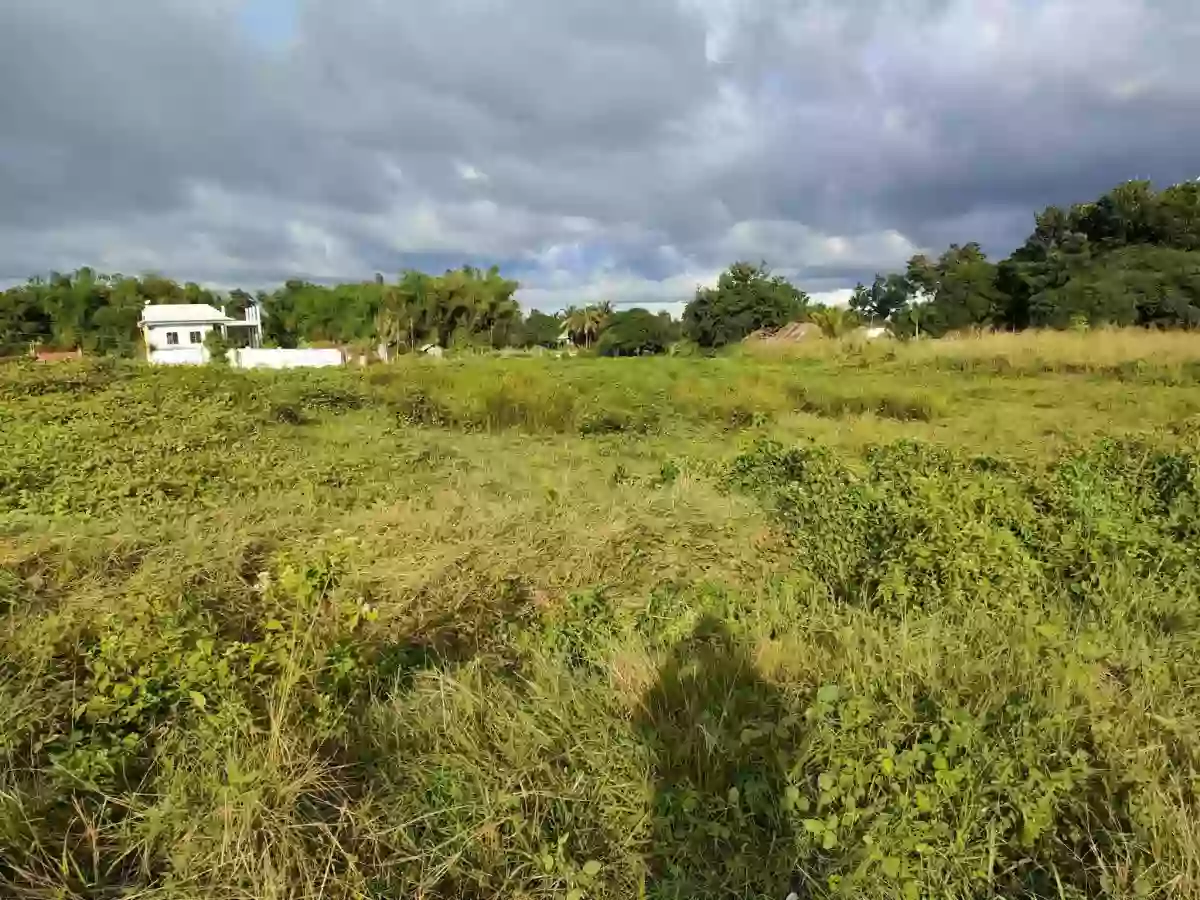 Lot for Sale in Balugo Sibulan — Residential Lot in Sibulan, Negros Oriental, Philippines — Photo 5