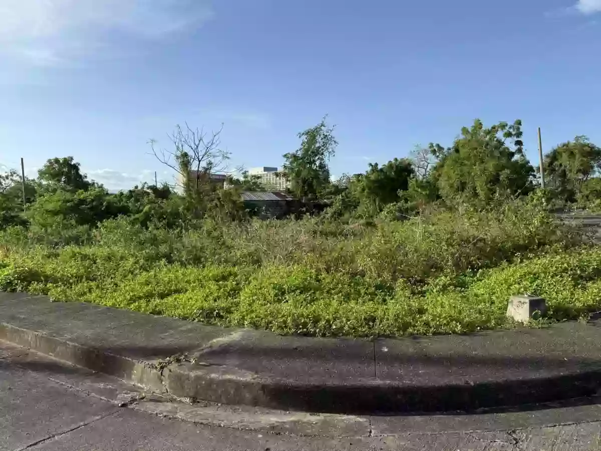 Lot for sale in Vistamar Cebu City — Residential Lot in Cebu, Philippines — Photo 6