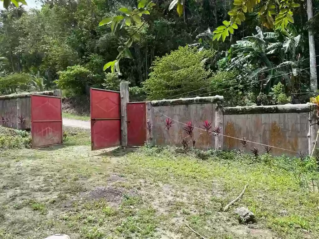 FOR SALE: BEACH LOT IN SAMAL ISLAND,DAVAO CITY — Agricultural Lot in Davao del Norte, Philippines — Photo 2