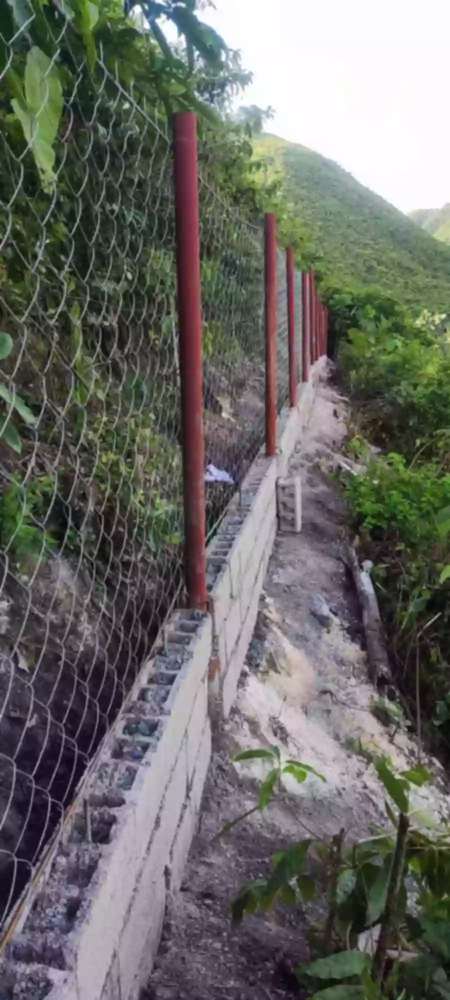 FARM LOT FOR SALE!!! — Agricultural Lot in Minglanilla, Cebu, Philippines — Photo 3
