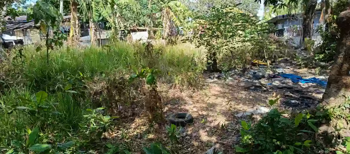 Lot for sale — Residential Lot in Bacolod, Negros Occidental, Philippines — Photo 4
