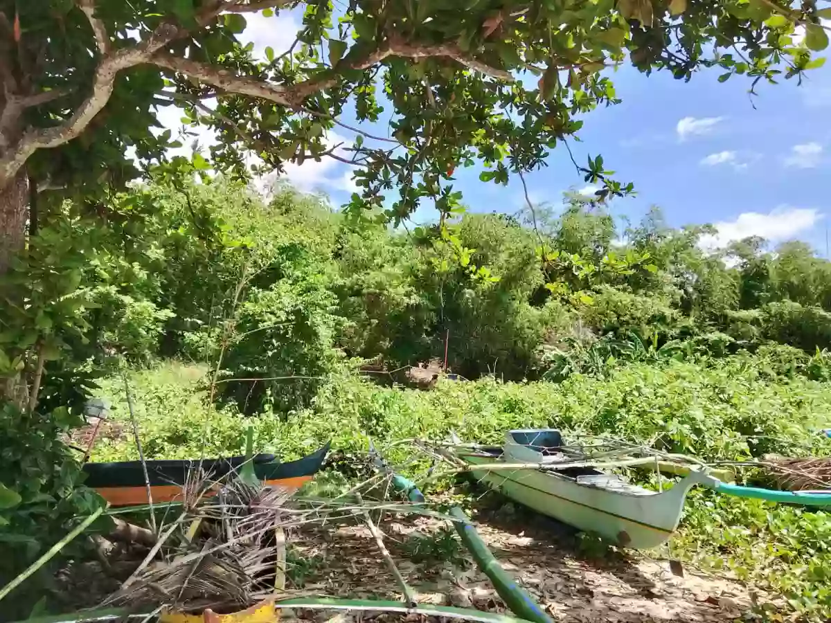 Beach Lot in Dumanjug — Beach Lot in Philippines — Photo 5