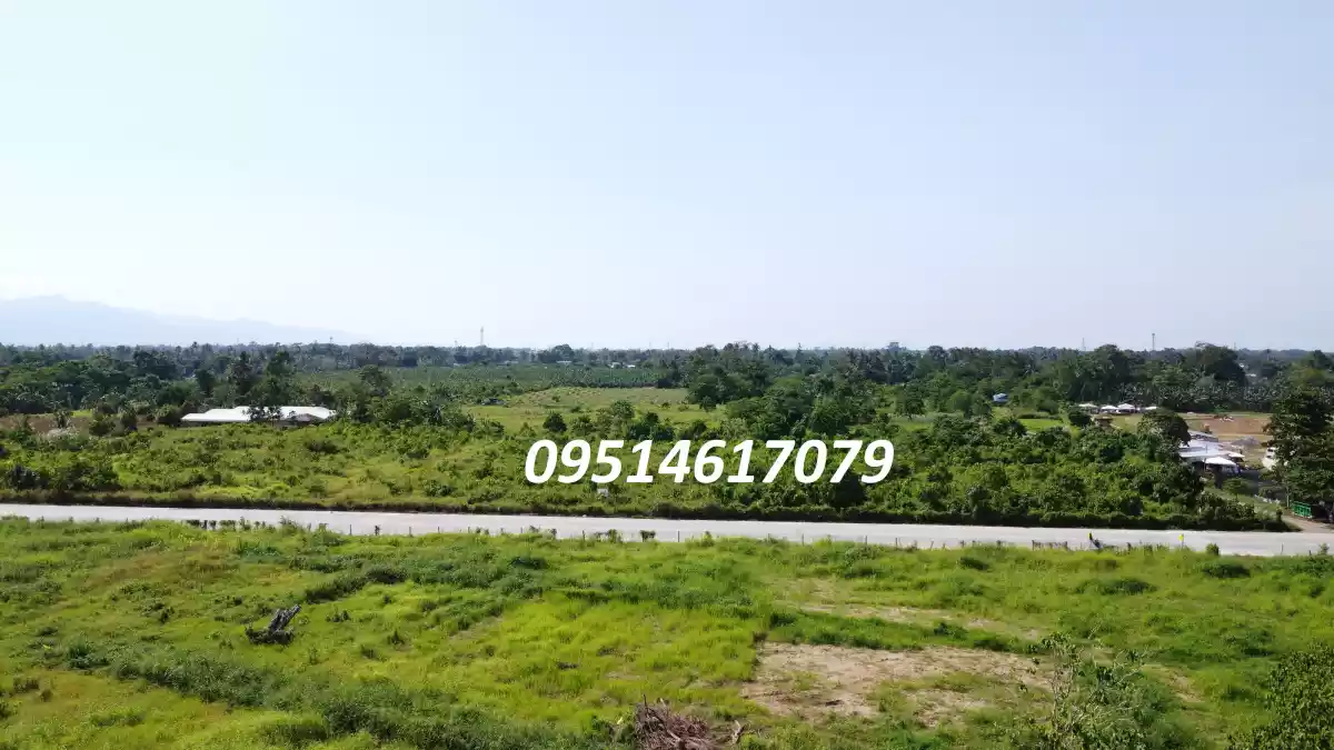 Prime 4,000 sqm Lots in Thriving Tagum City: A Golden Investment Opportunity
