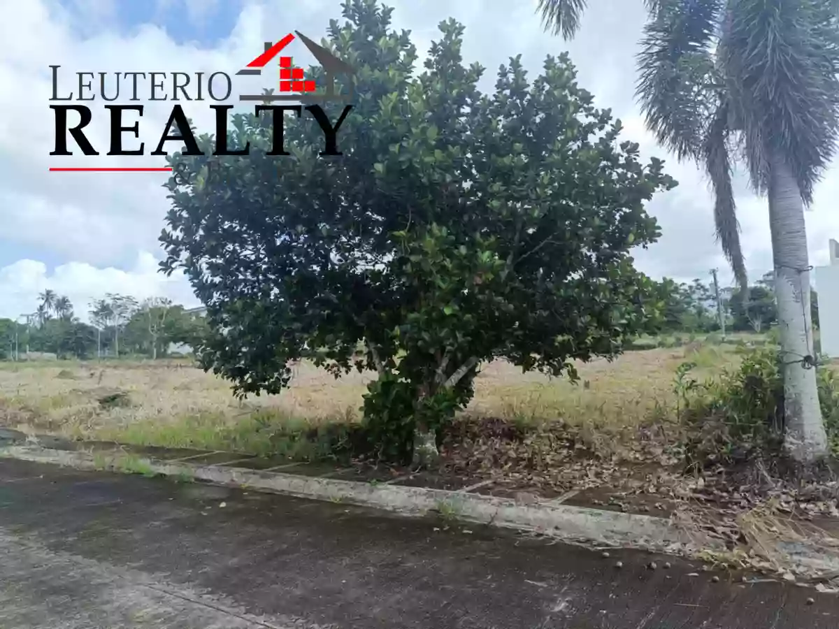 FOR SALE - RESIDENTIAL LOT IN PACOL NAGA CITY — Residential Lot in Naga City, Camarines Sur, Philippines — Photo 2