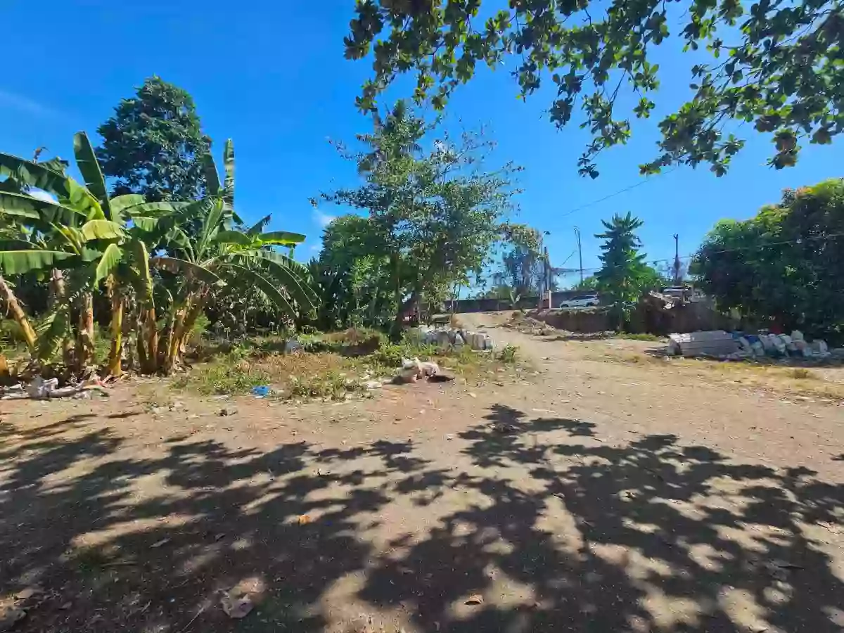 FOR SALE COMMERCIAL LOT AT TABOC DANAO CITY — Commercial Lot in Danao City, Cebu, Philippines — Photo 3