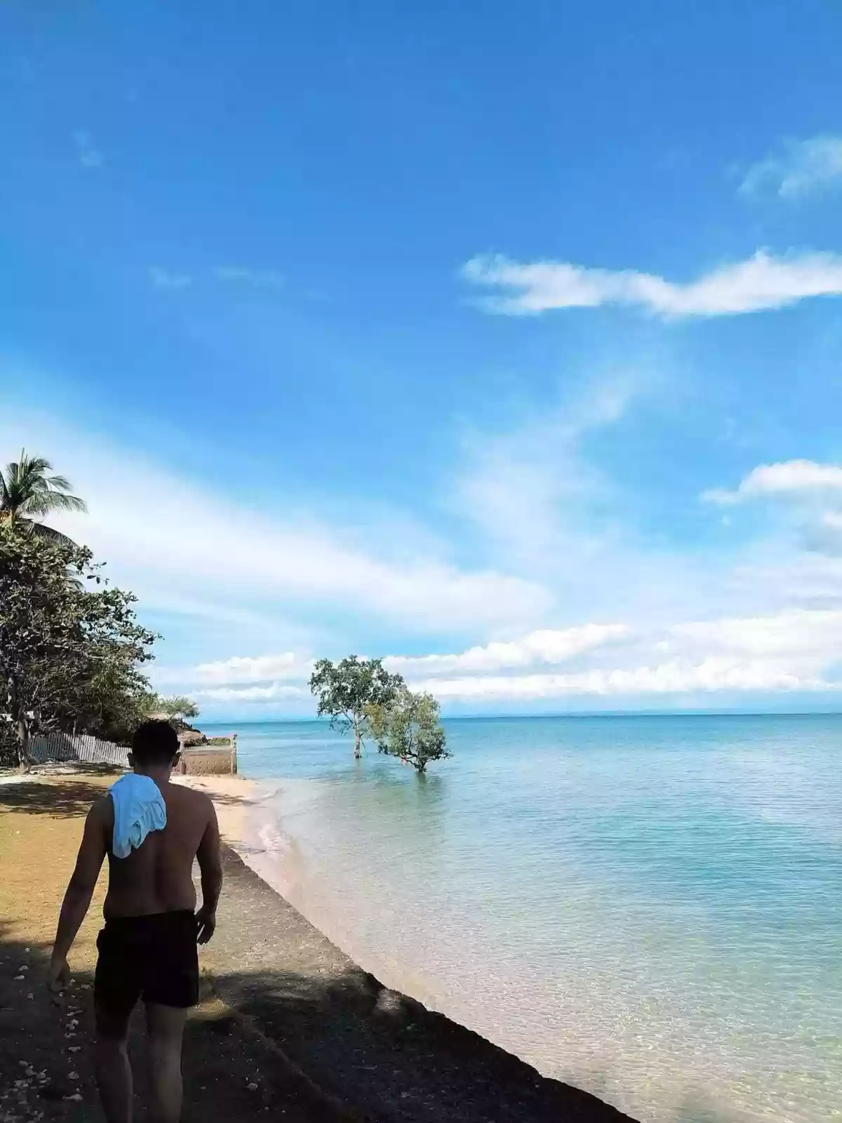 12 Hectare with House and White Sand — Beach Lot in Negros Occidental, Philippines — Photo 7