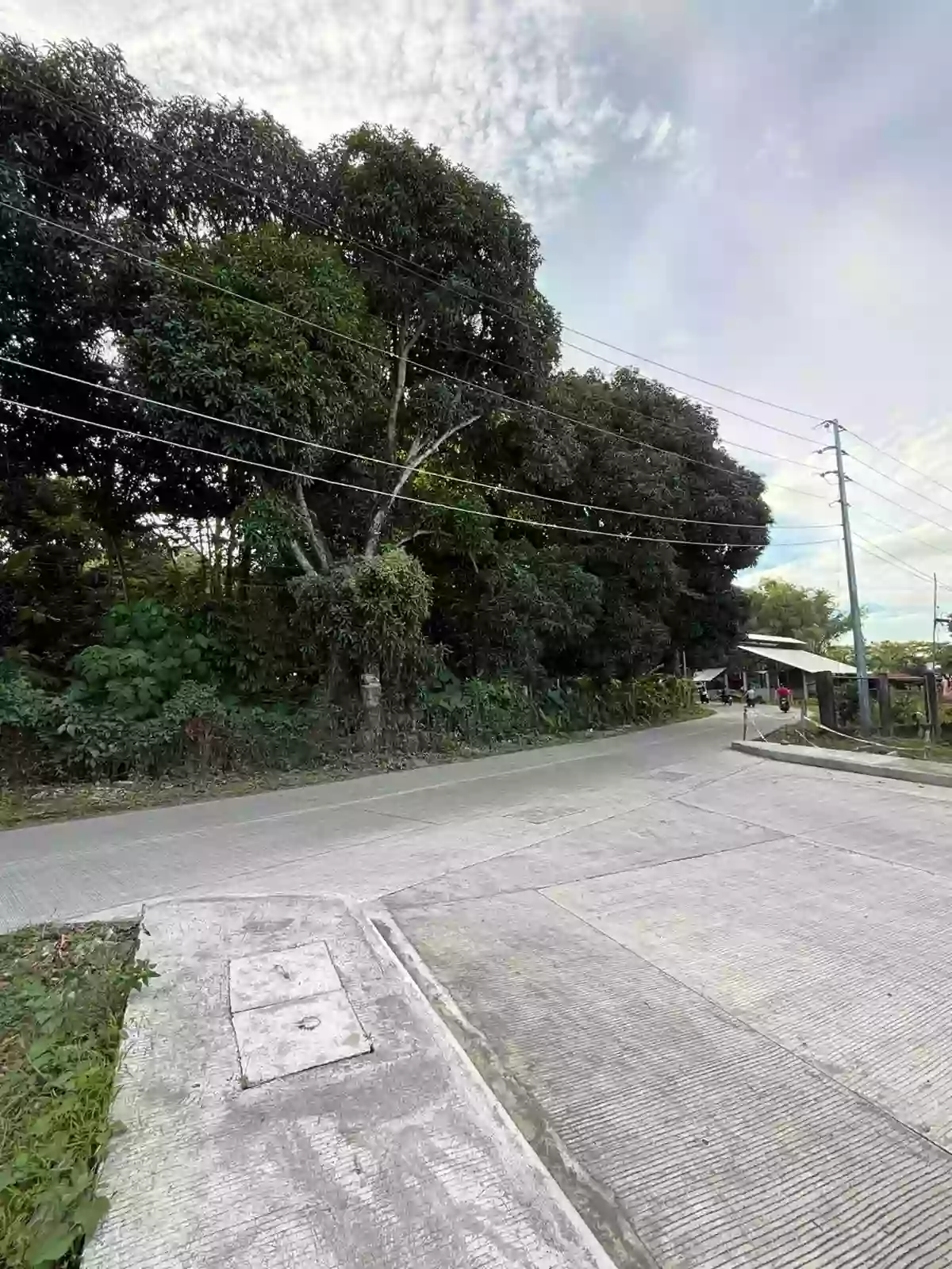 LOT FOR SALE – PRIME LOCATION IN TALAY, DUMAGUETE CITY — Residential Lot in Negros Oriental, Philippines — Photo 2
