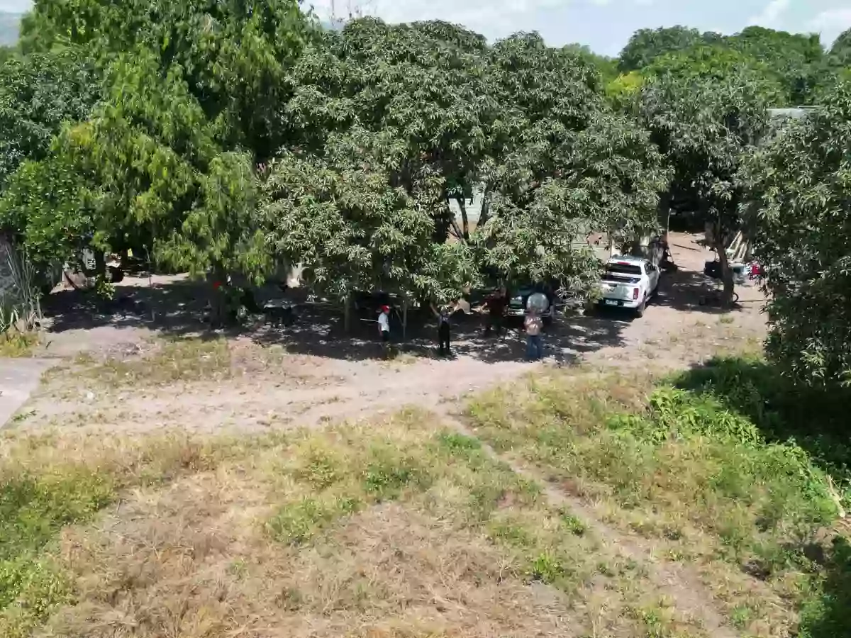 Open photo 12 of 20 — Piggery/Farm Lot For Sale in Odagre General Santos City Socksargen