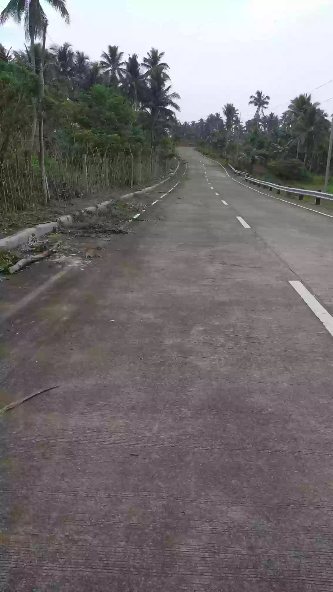 For Sale: Agricultural Lot in Legazpi City – Road Frontage, Easy Access — Agricultural Lot in Legazpi City, Albay, 4500 — Photo 3