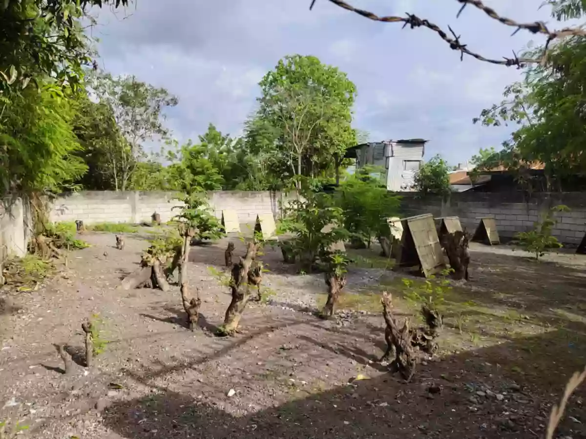 Residential Lot for Sale — Residential Lot in General Santos City, samar, Philippines — Photo 2
