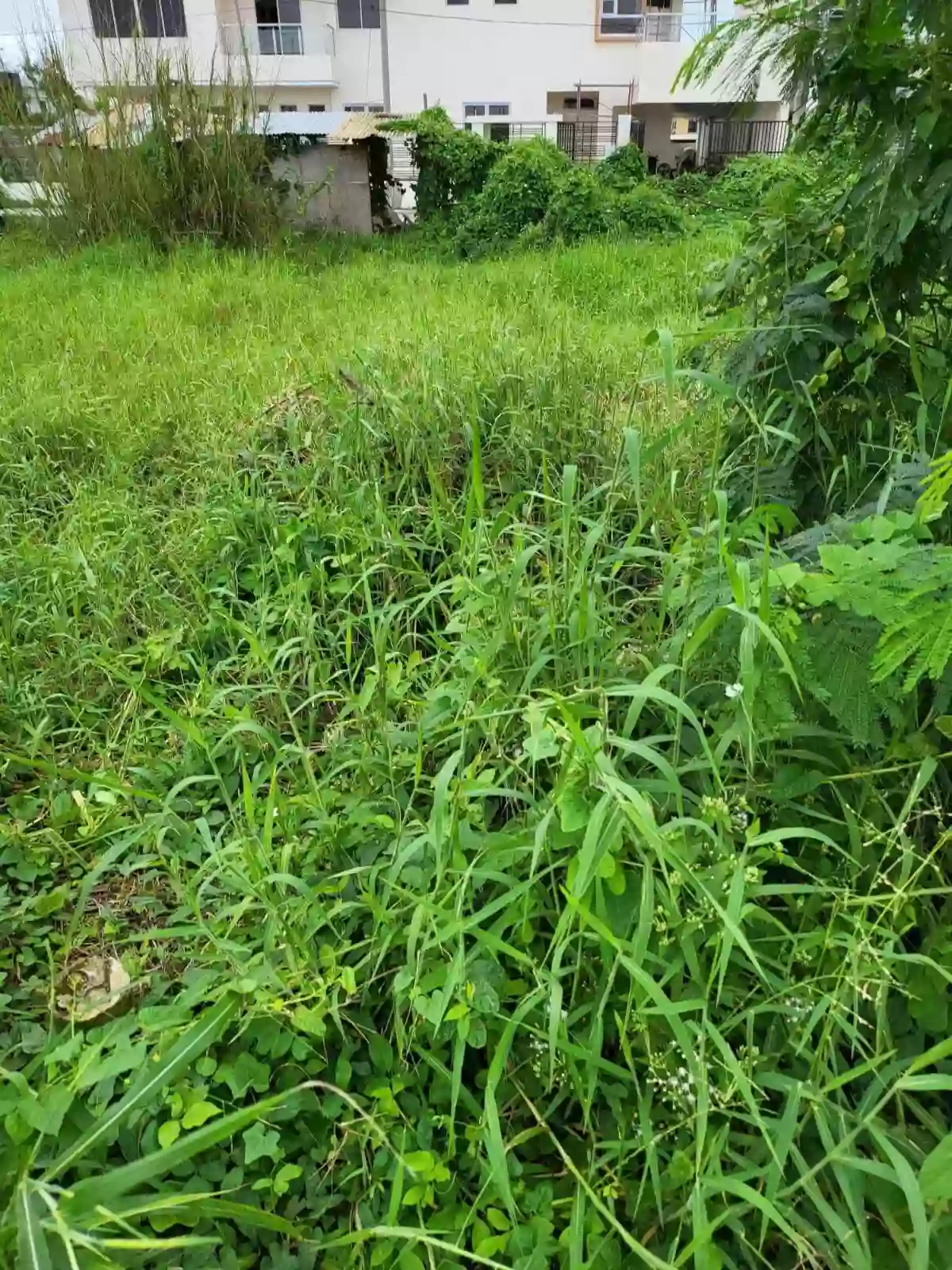 LOT FOR SALE (WESTWOODS GRAND ILOILO) FRONT OF CLUB HOUSE — Residential Lot in Mandurriao, Iloilo City, Iloilo — Photo 4