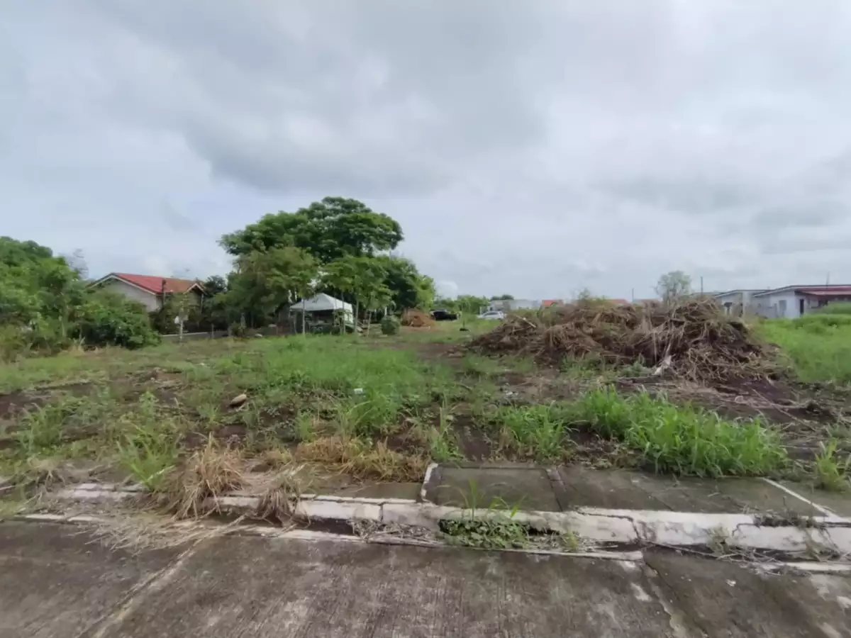 RESIDENTIAL LOT — Residential Lot in Pili, Camarines Sur, Philippines — Photo 2