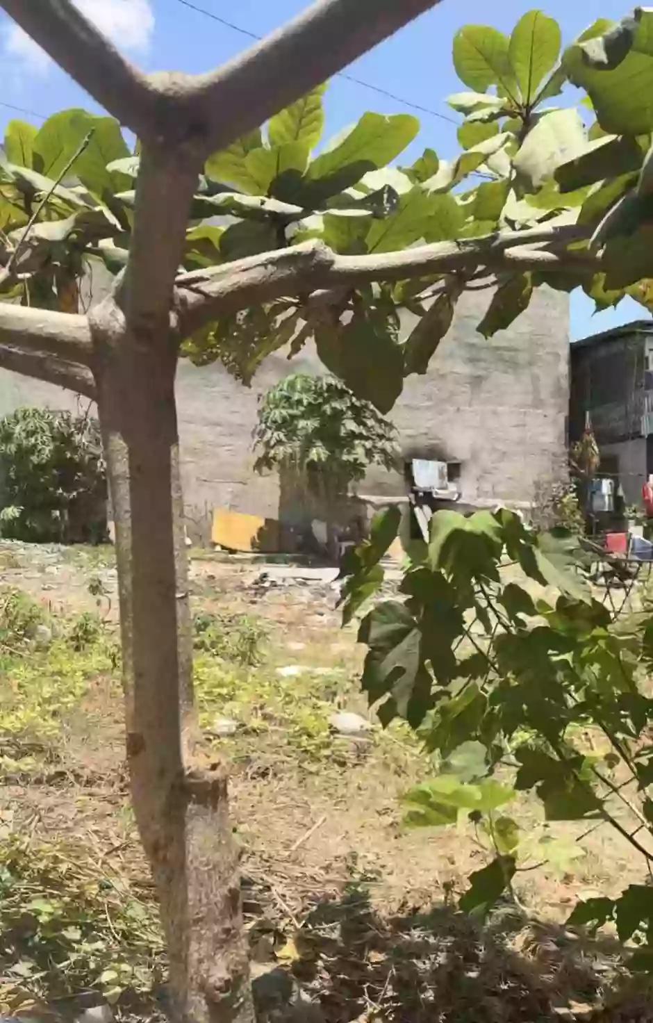 Paknaan Mandaue City