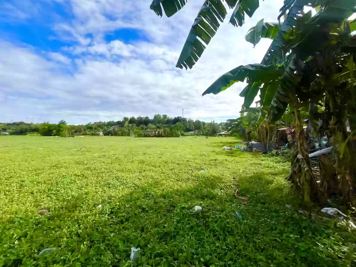 Lot for Sale