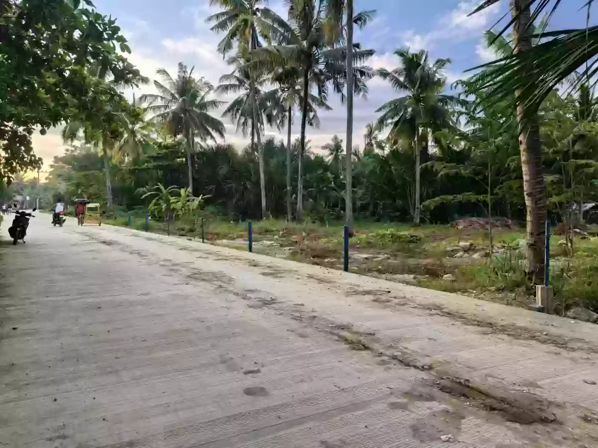 Lot for Sale in Liloan — Residential Lot in Liloan, Cebu, Philippines — Photo 2