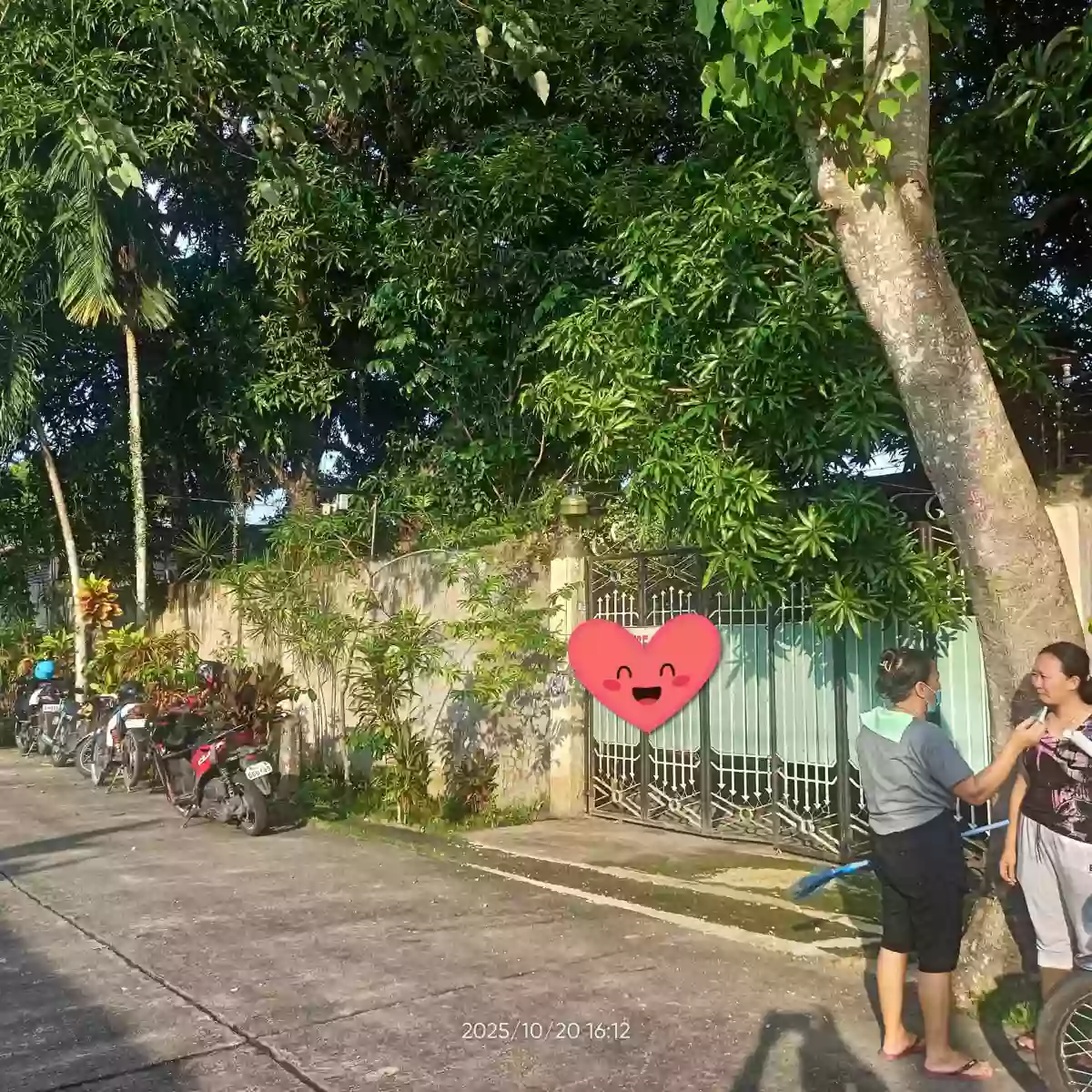 Silay House & Lot FOR SALE!! 700sq.m. Lot area