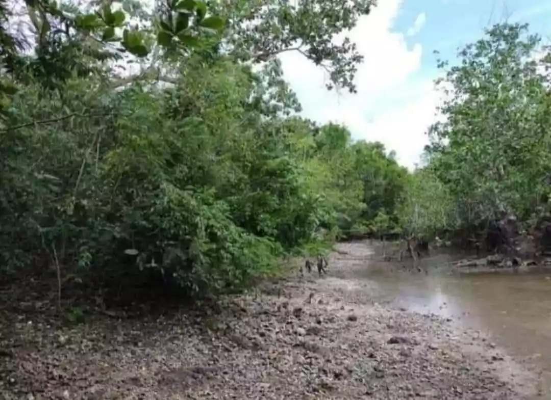 Lot for Sale Fronting Crown regency hotel in Panglao, island Bohol — Residential Lot in Dauis, Bohol, Philippines — Photo 2