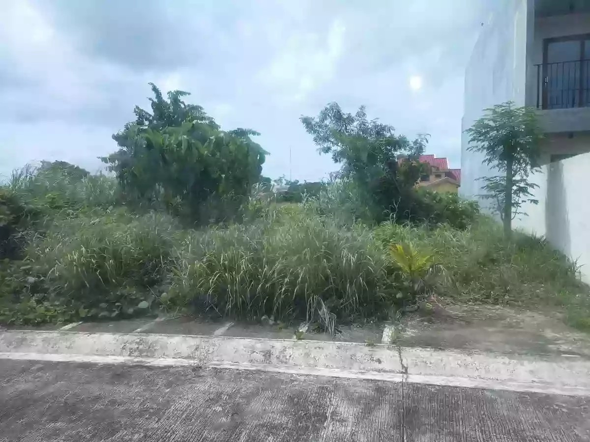 Residential Lot for Sale near Primus Resort — Residential Lot in Naga City, Camarines Sur, Philippines — Photo 3