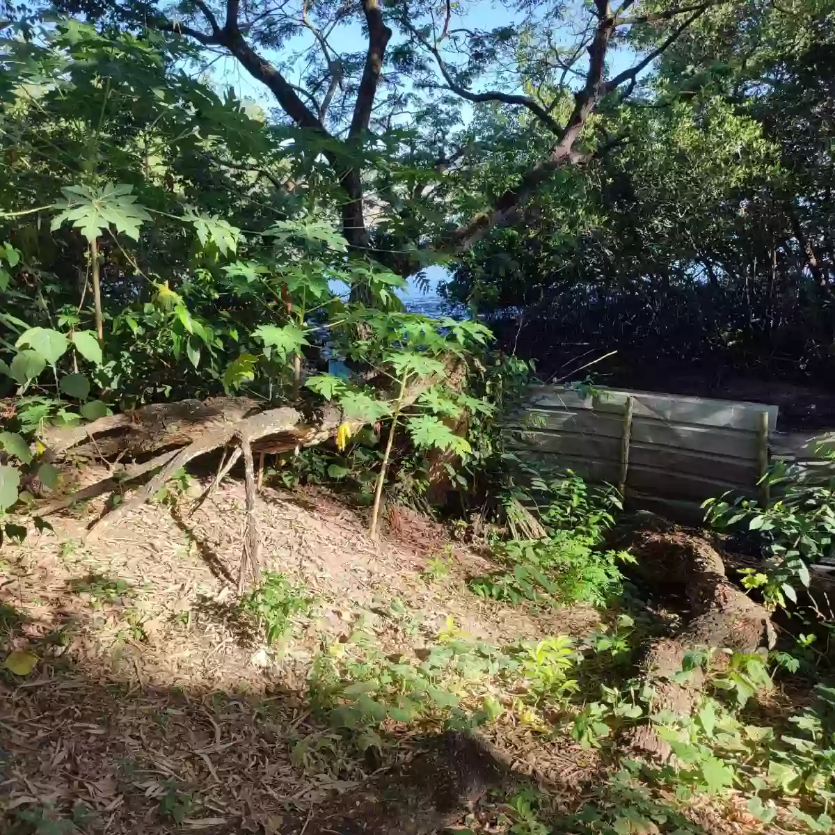 RESIDENTIAL LOT WITH BEACH FRONT — Residential Lot in San Remigio, Cebu, Philippines — Photo 2