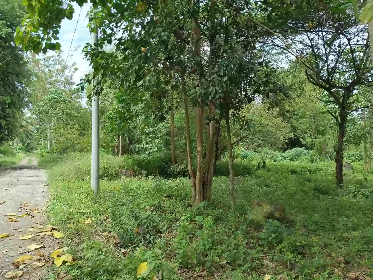 Lot for sale