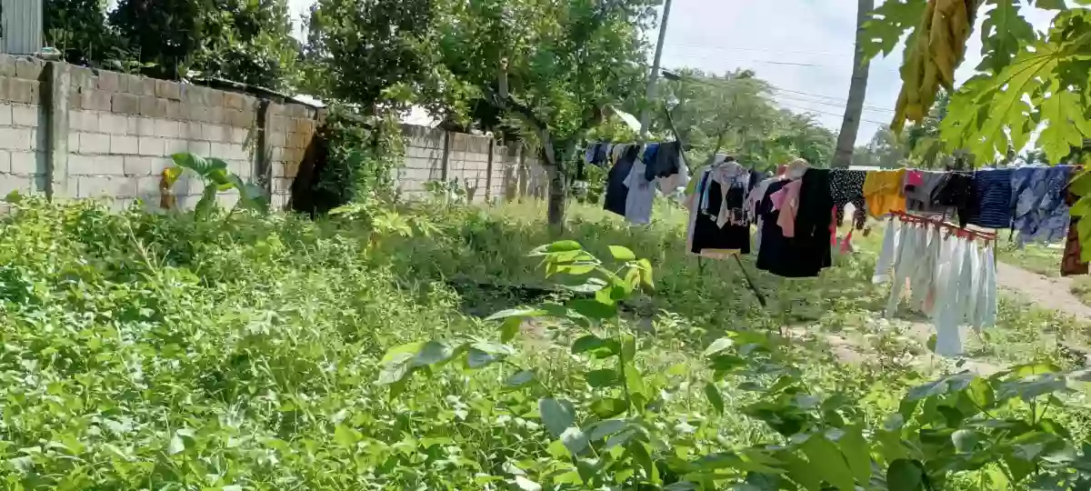 Lot for sale 