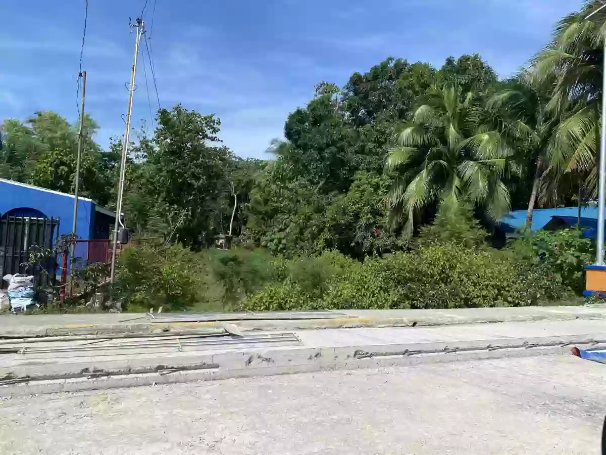 Lot for Sale SanJuan Siquijor — Residential Lot in San Juan, Siquijor, Philippines — Photo 2