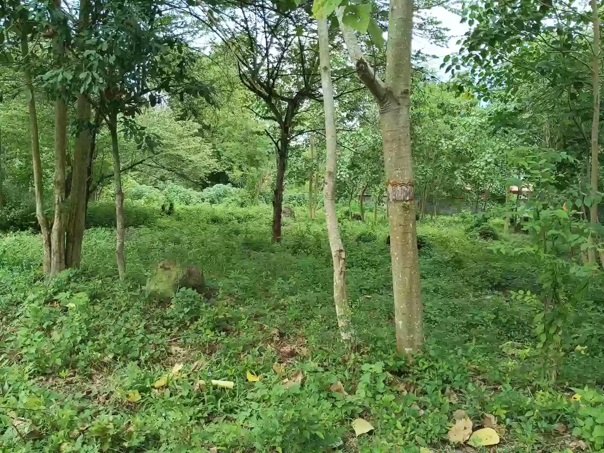 Lot for sale — Residential Lot in General Santos City — Photo 3