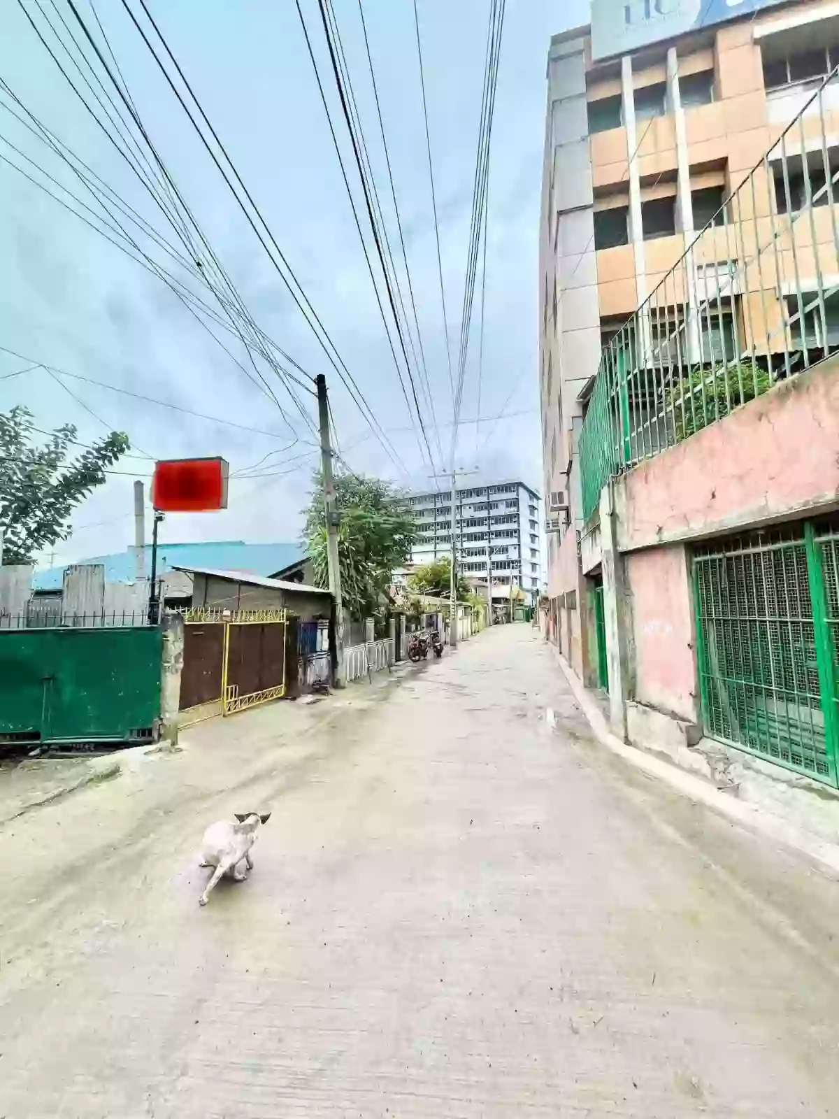 INCOME GENERATING PROPERTY - CEBU CITY | BESIDE UNIVERSITY CEBU — House and Lot in Cebu City, Cebu, Philippines — Photo 3