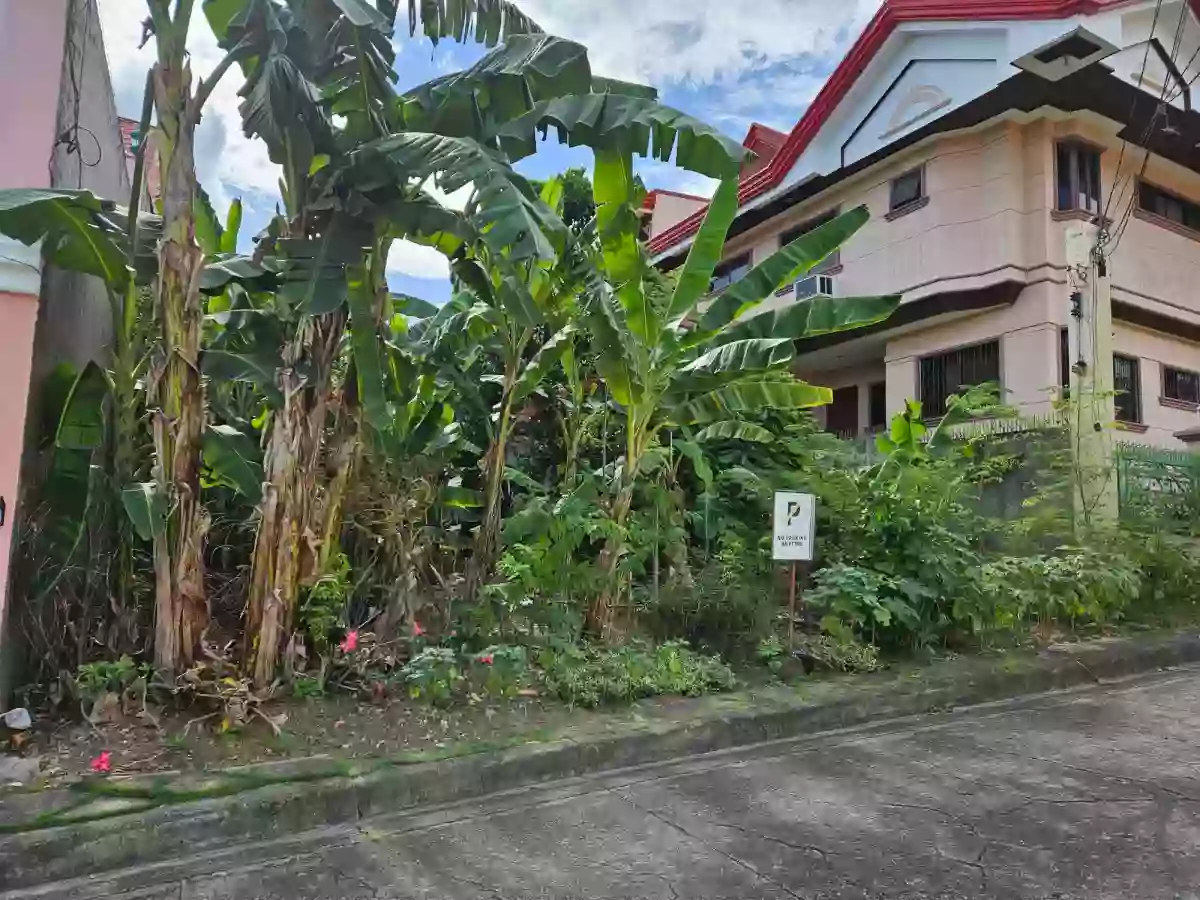Lot For Sale (Newtown Estate, Pardo) — Residential Lot in Cebu City, Cebu, Philippines — Photo 2