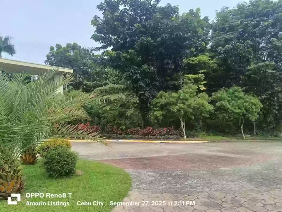 334 sqm Residential lot for sale in Vera Estate Mandaue Cebu — Residential Lot in NS Road, Cebu City, Cebu — Photo 5