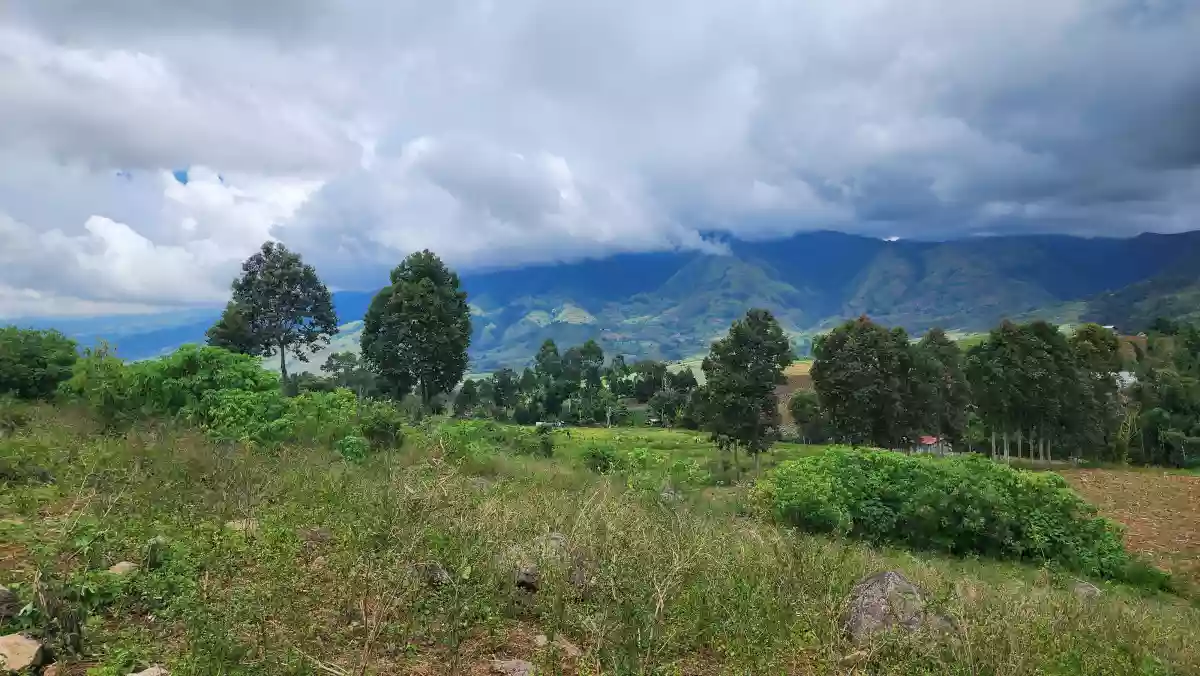 1.6 hectares Farm Lot for Sale in Basak, Lantapan, Bukidnon — Agricultural Lot in Lantapan, Bukidnon, Philippines — Photo 4