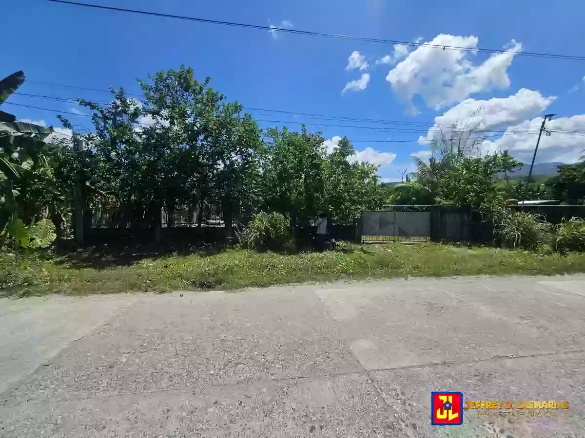 Rush Sale! 1,098sqm Lot in Calabnugan, Sibulan [available]