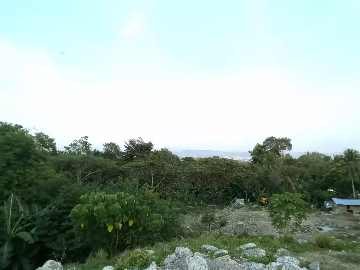 Overlooking Commercial Lot For Sale in Davao — Commercial Lot in Tugbok, Davao City, Davao del Sur — Photo 3