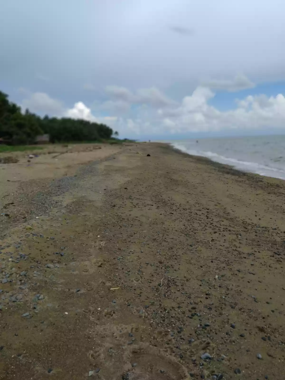 Beach Front Property For Sale (Hinoba-an) — Beach Lot in Negros Occidental, Philippines — Photo 2