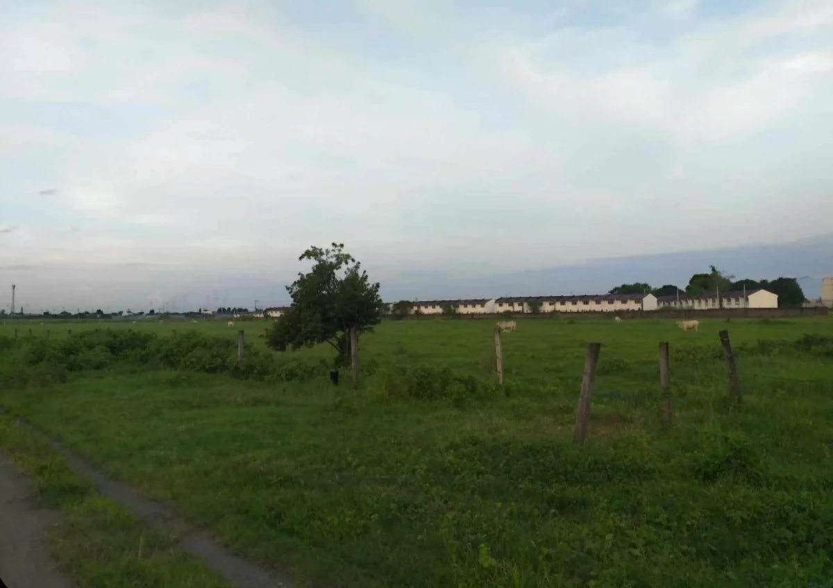 Lot For Subdivided — Agricultural Lot in MacArthur Highway, Capas, Tarlac — Photo 3