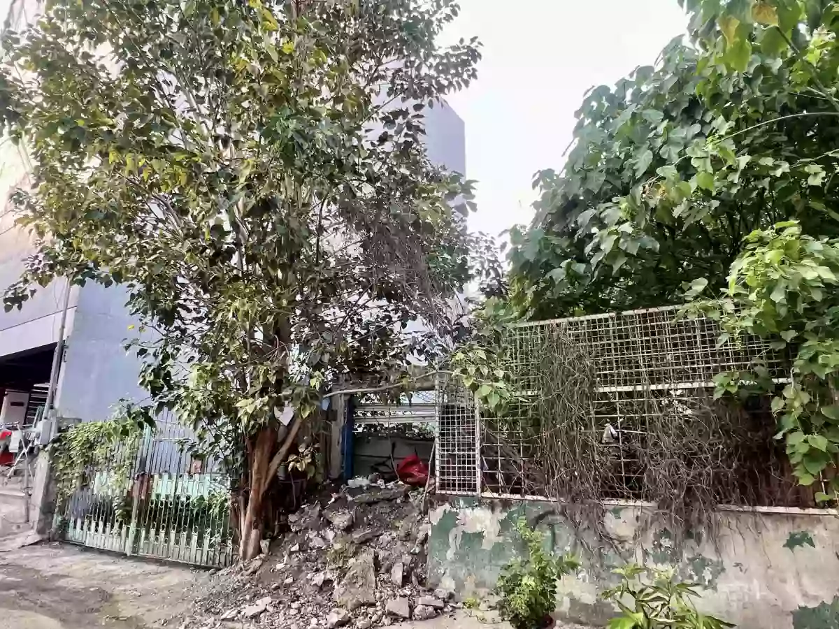 LOT FOR SALE IN URGELLO CEBU CITY — Residential Lot in Cebu City, Cebu, Philippines — Photo 2