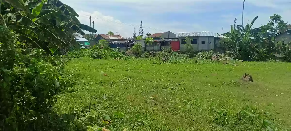Rush For Sale Lot Only In Pinamungahan Cebu Along the Road — Residential Lot in Cebu, Philippines — Photo 3