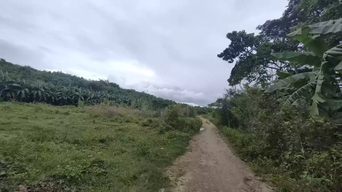 LOT FOR SALE in Bogo City — Agricultural Lot in Bogo City, Cebu, Philippines — Photo 5