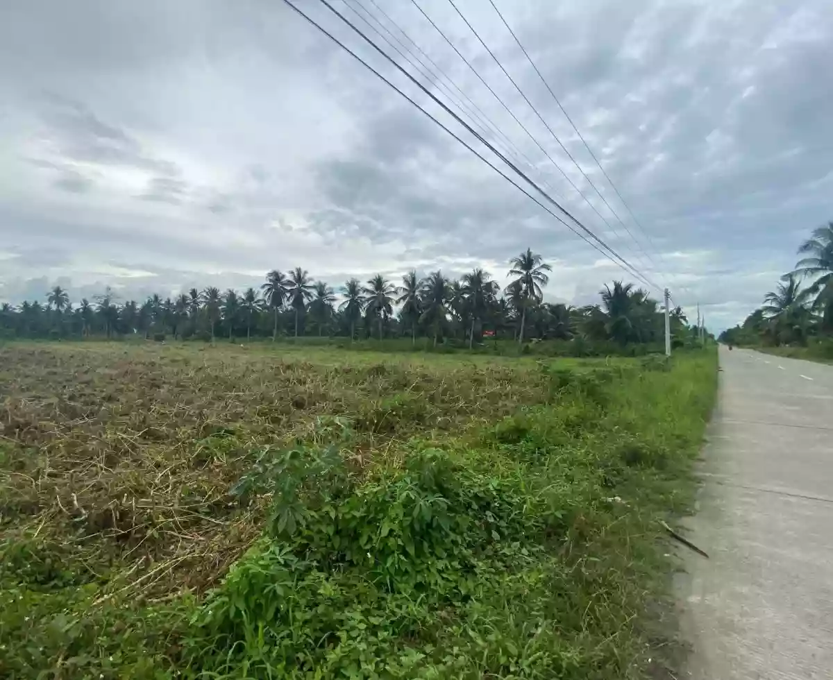 LOT FOR SALE in BANGA SOUTH COTABATO — Agricultural Lot in Banga, South Cotabato, Philippines — Photo 3