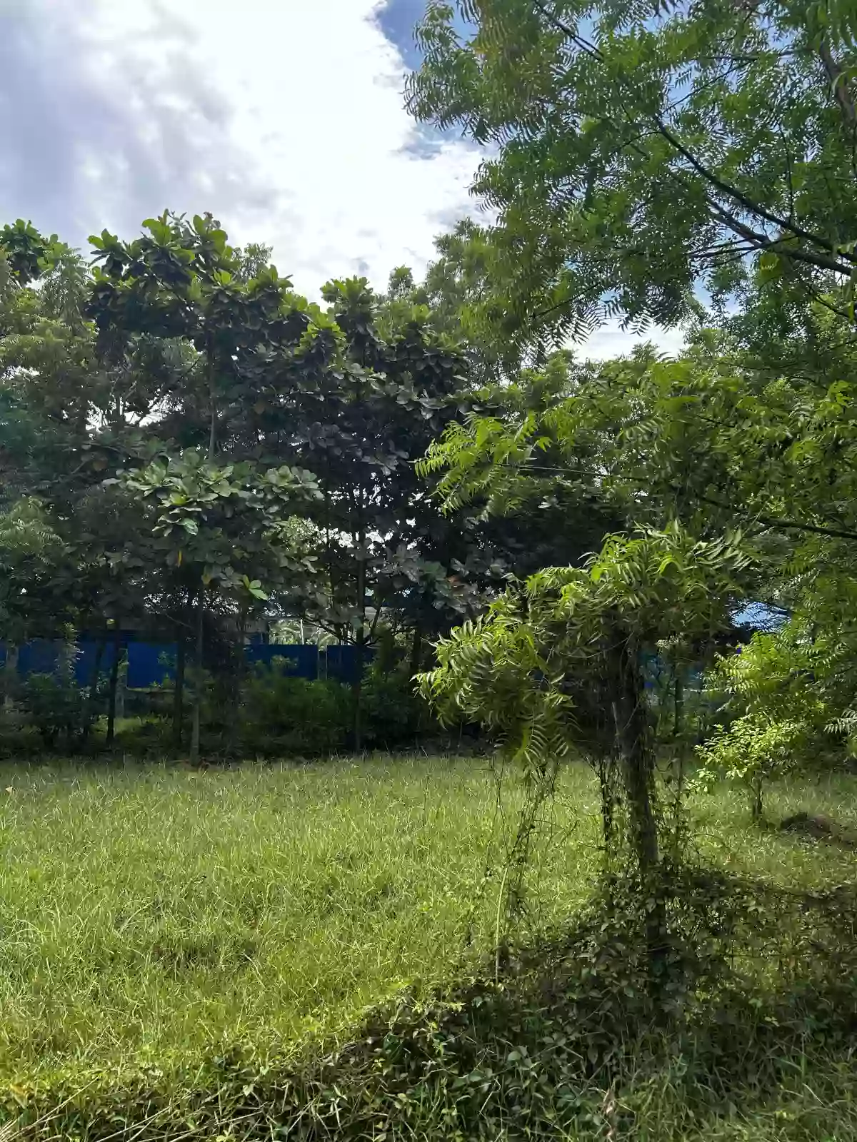 For Sale: Residential Lot in Aplaya, Digos, 676 sqm — Residential Lot in Digos, Davao del Sur, 8002 — Photo 2