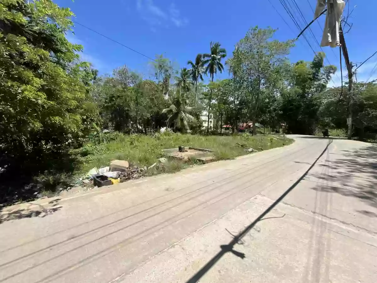 4,434 sqm AGRICULTURAL LOT FOR SALE IN COTCOT, LILOAN [TITLED] — Agricultural Lot in Liloan, Cebu, Philippines — Photo 6