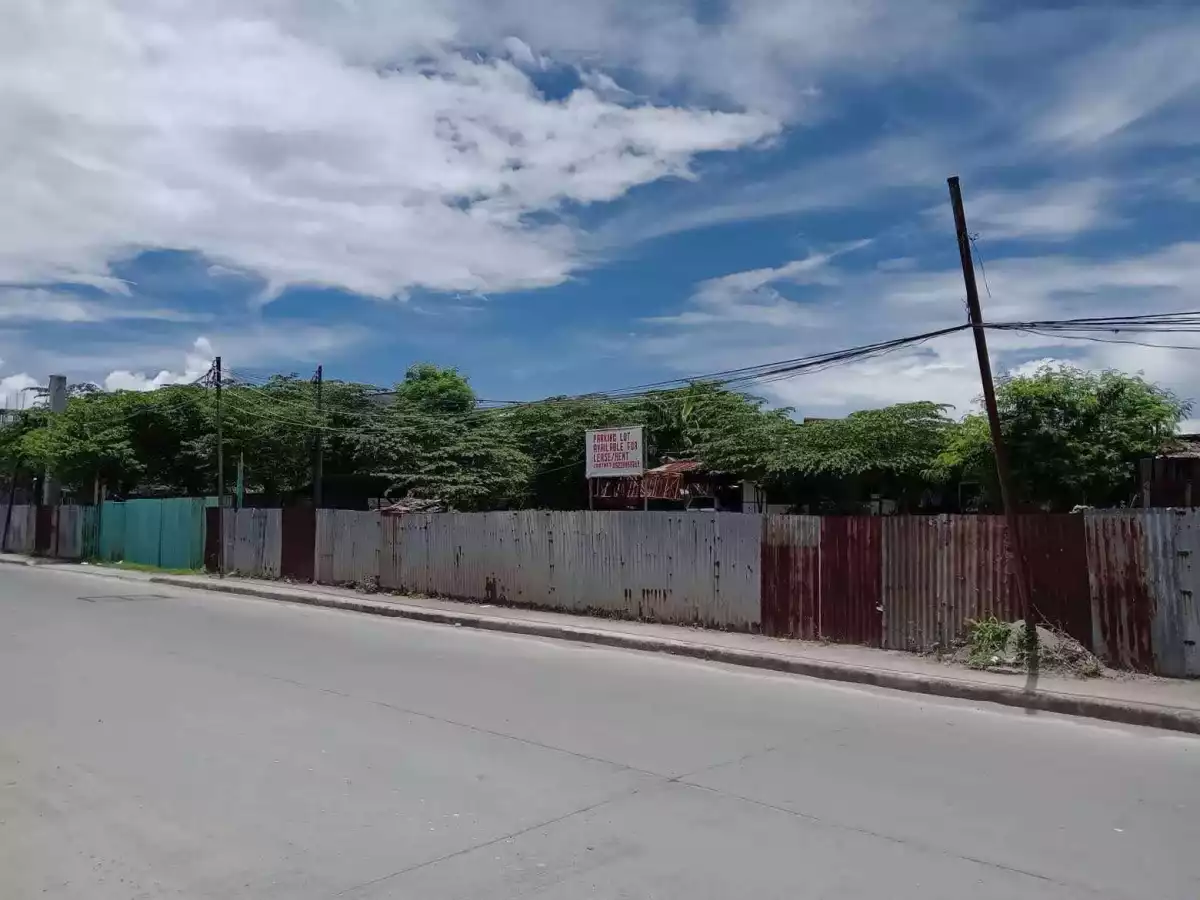 Commercial Lot for sale  (Taguig, Manila) — Agricultural Lot in Taguig, Metro Manila, Philippines — Photo 2