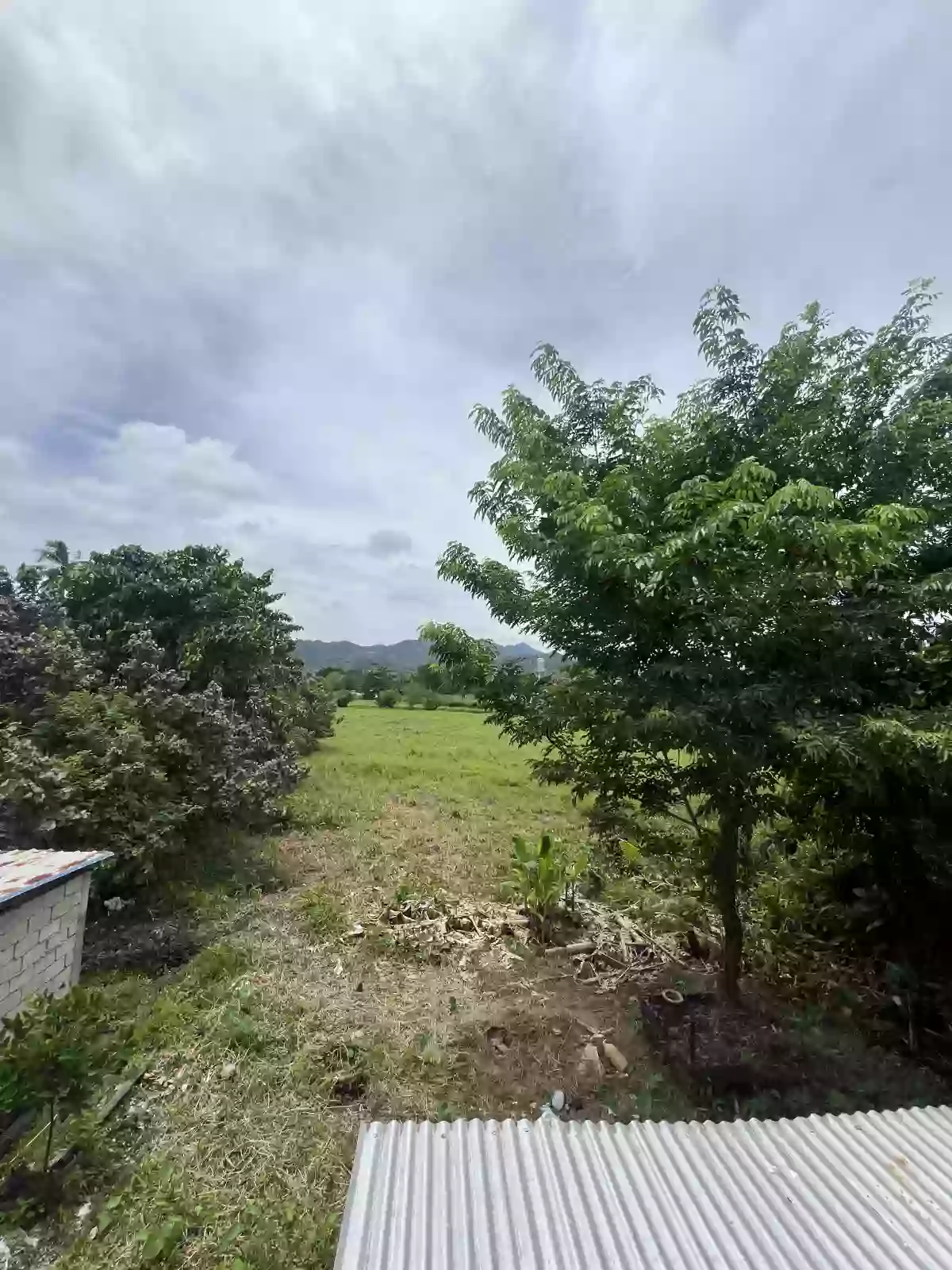Residential — Residential Lot in Mainit, Surigao del Norte, Philippines — Photo 4