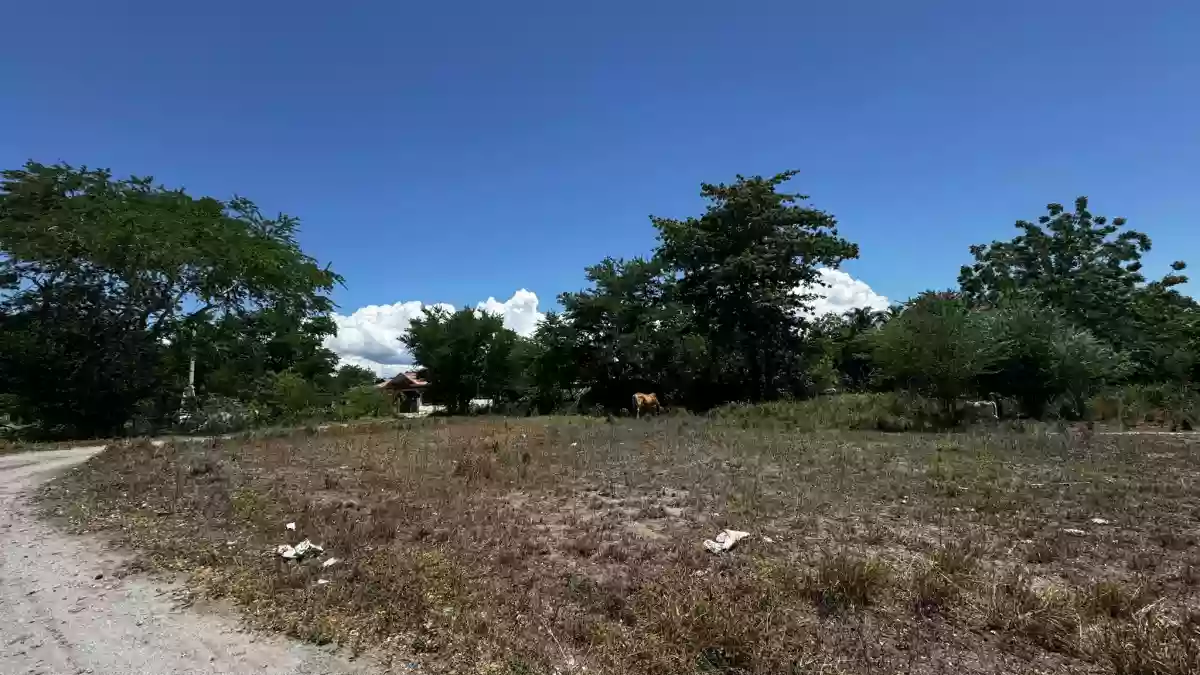 BIG LOT FOR SALE  at Barangay Tambler, Gensan! — Residential Lot in General Santos City, South Cotabato, Philippines — Photo 3