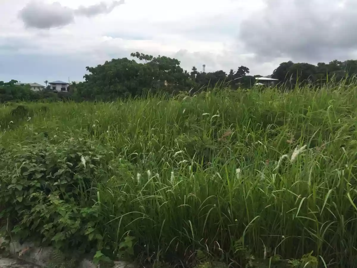 Monterrazas De Cebu Lot For Sale — Residential Lot in Philippines — Photo 2