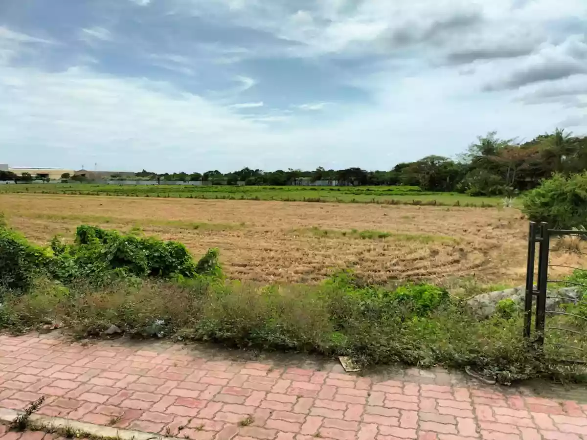 Open photo 13 of 24 — circumferential Road Tacas Jaro