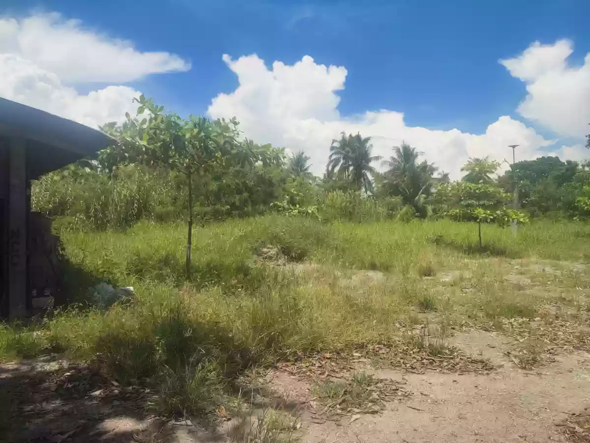 Raw Lot Along Bula-Amao Road, Jorge Royeca Blvd — Residential Lot in Dr. Jorge P, Jorge Royeca Boulevard, General Santos City — Photo 2