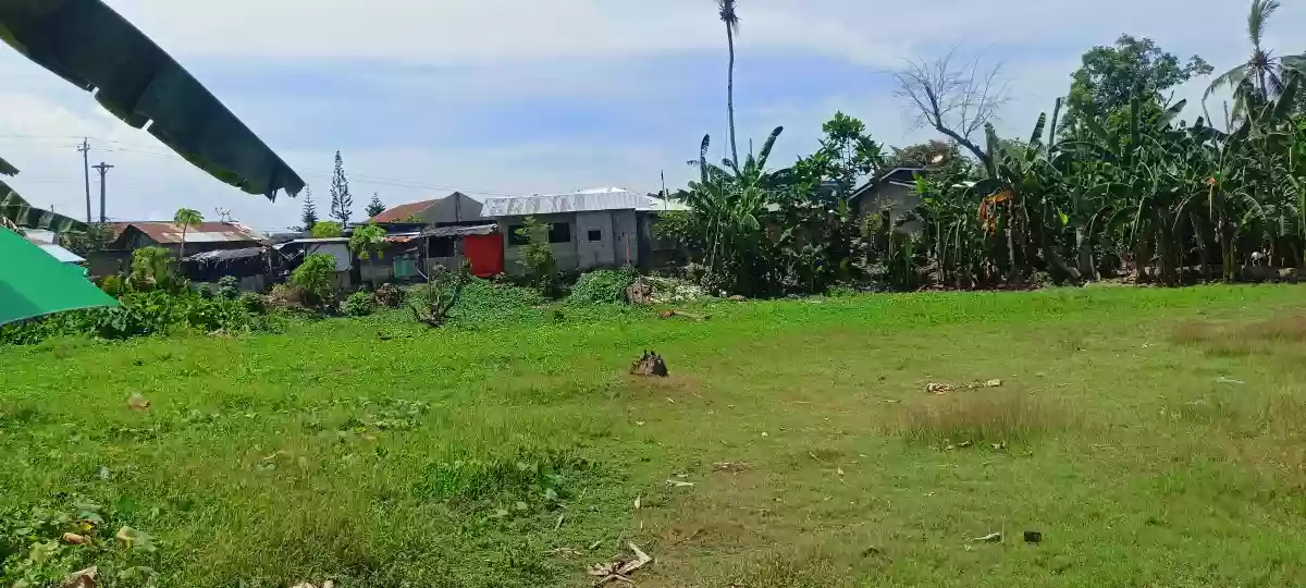 Rush For Sale Lot Only In Pinamungahan Cebu Along the Road — Residential Lot in Cebu, Philippines — Photo 6